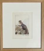 Framed watercolour of a Pine Marten by Richard Maitland Laws CBE FRS ScD (1926-2014) - Director of
