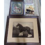 Large black and white photograph of a working horse - Longforth King Cole 30643,