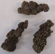 3 pieces of coprolite (Dinosaur/fossil faeces)