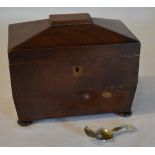 Tea caddy with spoon (AF)