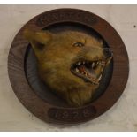 Taxidermy fox mask carved with 'Marton 1928' some damage to tongue