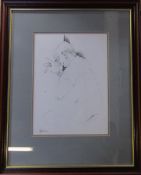 Framed pencil drawing 'Music Man' by John Hopkinson (b.