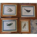 4 etchings of birds inc Swift and Blackbird in burr wood frames