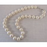 Hand knotted string of freshwater cultured pearls with silver clasp in presentation case L 37 cm