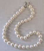 Hand knotted string of freshwater cultured pearls with silver clasp in presentation case L 41 cm