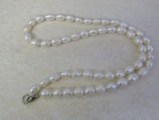 String of freshwater pearls L 19"