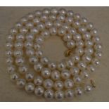 Large cultured pearl necklace with a 10kt gold clasp,