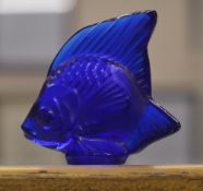 Lalique frosted blue glass paperweight in the form of an angel fish, signed Lalique France,