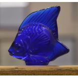 Lalique frosted blue glass paperweight in the form of an angel fish, signed Lalique France,