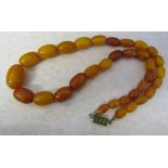 String of graduated butterscotch amber beads L 37.5 cm (excluding clasp) weight 17.