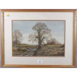 Peter Robinson: bodycolours, Lincolnshire landscape, 10 1/2" x 15 1/2", in gilt frame