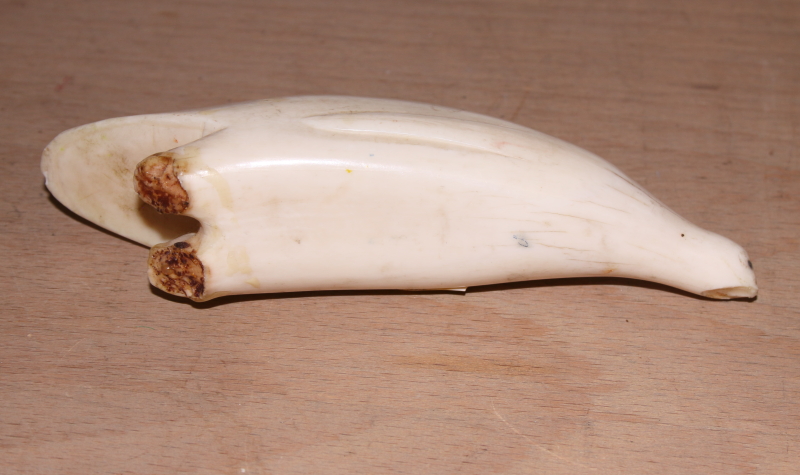 A collection of various sperm whale scrimshaw carvings a carved ivory cane handle with silver collar - Image 6 of 18