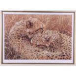 Allan M Hunt: a signed limited edition colour print, two cheetah cubs, 32/600, in gilt frame