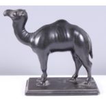 A carved hardstone camel, 5 1/2" high