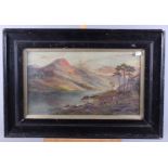 P Allan: oil on canvas, Highland scene with cattle, 10" x 17 1/2", in ebonised frame