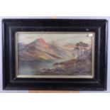 P Allan: oil on canvas, Highland scene with cattle, 10" x 17 1/2", in ebonised frame