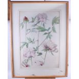 Lawrence Penguin?: three watercolour studies, flowers, in oak strip frames