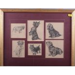 Cecil Aldin: twenty-five assorted prints of various dog breeds, in twelve gilt frames, assorted