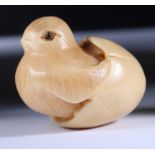A "vegetable ivory" okimono of a hatching chick in an egg, signed, 1 1/2" long
