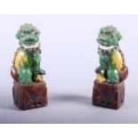 A pair of painted Chinese pottery dogs of Fo, on plinth base, 6" high