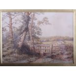 T Baker: a 19th century oil, landscape with wooden fence and trees in foreground, signed, 6" x 9",