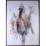 Anne Searle: watercolour, hanging pheasant, 29" x 20 1/2", in gilt frame