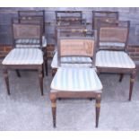 A set of seven Regency mahogany dining chairs with caned seats and backs, with traces of parcel