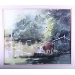 Janet Duncan: watercolour, Hereford heifer by a fence, "Scratching Post, Marsh Meadows", 15" x 18"