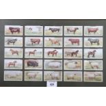 A framed set of twenty-five cigarette cards, "British Livestock", and two coloured photographs,