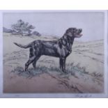 Henry Wilkinson: a coloured etching, standing black labrador, pencil signed in mount