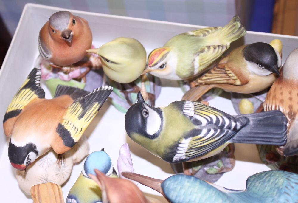 A collection of Worcester porcelain birds, nineteen approx (a/f) - Image 2 of 4