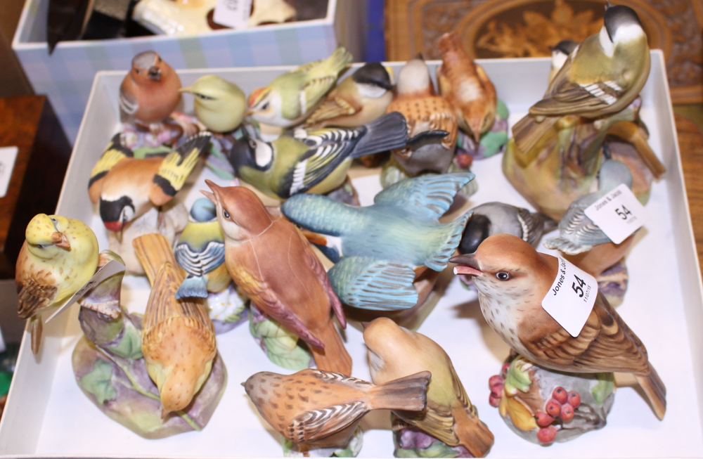 A collection of Worcester porcelain birds, nineteen approx (a/f)