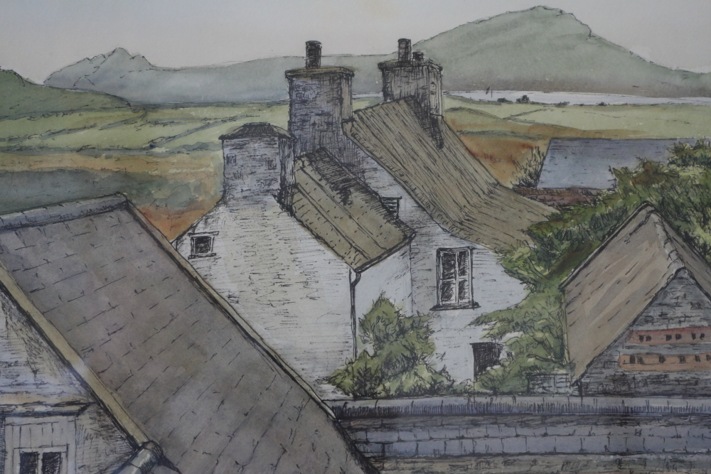 Patricia Adams: pen, ink and watercolour, "Upper Treleddyn, St David's Pembrokeshire", 9 1/2" x 13",