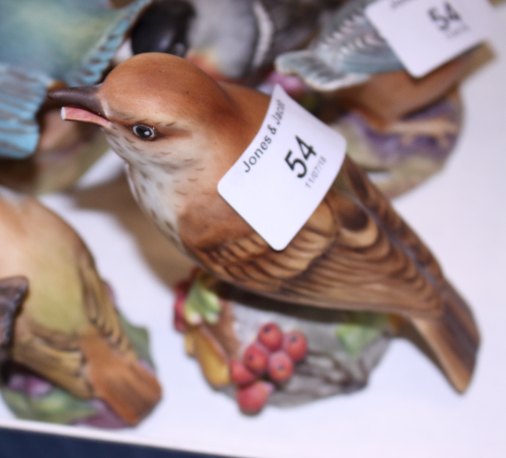 A collection of Worcester porcelain birds, nineteen approx (a/f) - Image 4 of 4