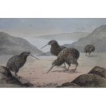 J Green?: a set of eleven early 20th century watercolours of birds and fish, signed with pencil