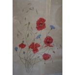 A watercolour and crayon study, poppies and cornflowers, 21" x 15", in gilt frame