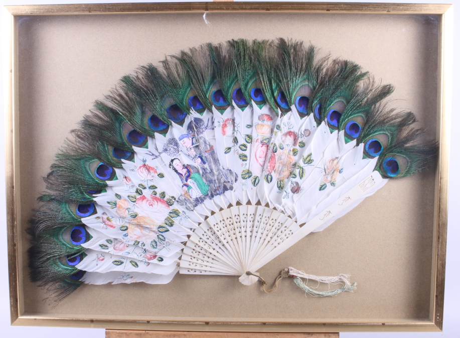 A Chinese peacock and other bird feather fan, 13" long, in box frame