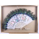 A Chinese peacock and other bird feather fan, 13" long, in box frame