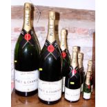 A set of seven graduated champagne display bottles from half bottle to Methuselah