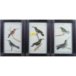 A set of eight 18th century German coloured ornithological prints and a set of four 18th century