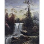 Boek?, 19th/20th century Continental School: oil on canvas, waterfall in a forest, 19" x15", in