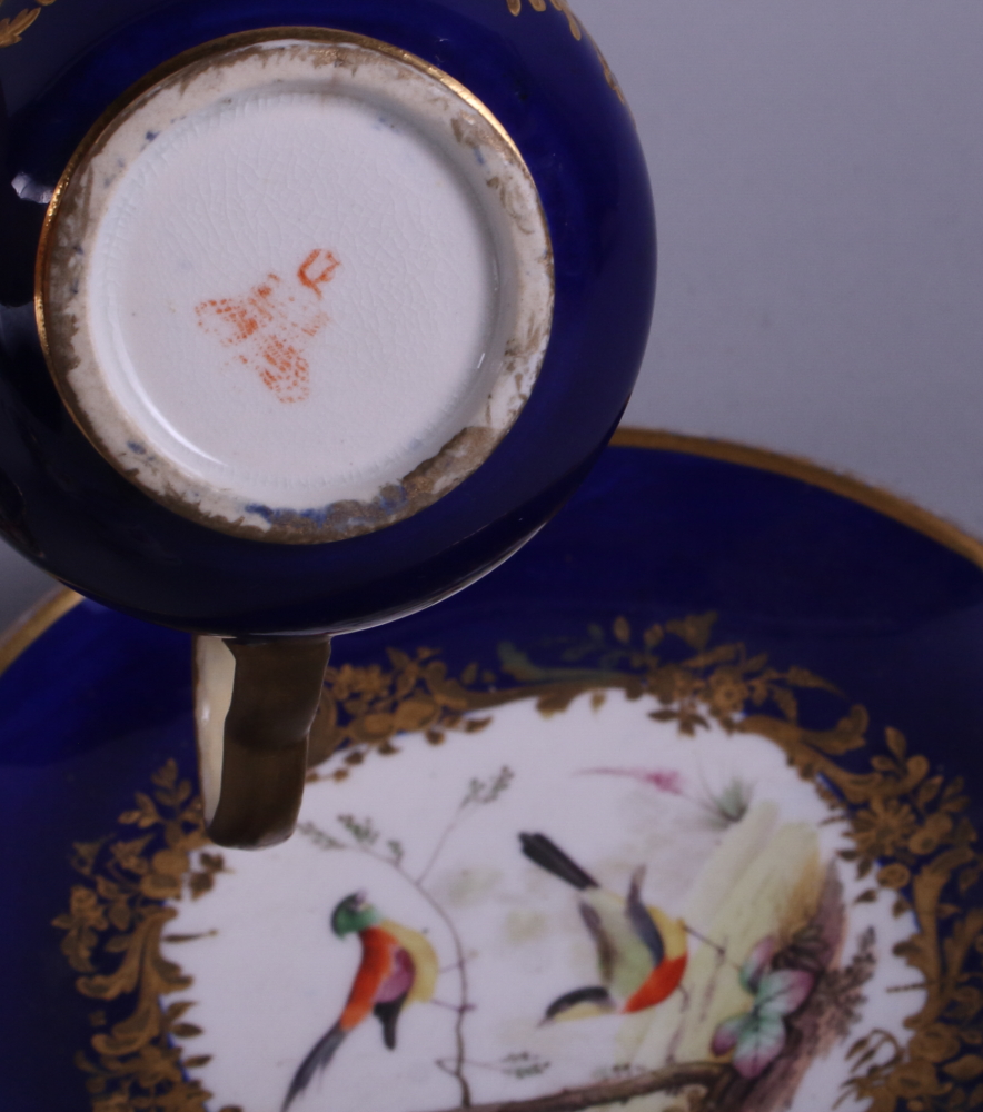 A collection of 18th and 19th century Derby porcelain cabinet cups and saucers, various - Image 11 of 15