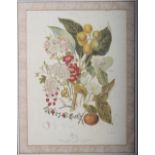 A set of four colour prints, botanical studies and still life bowl of fruit, in green painted