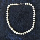 A cultured pearl necklace comprising rou