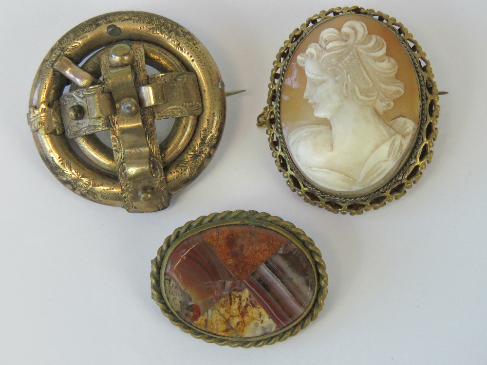 Three vintage brooches including a shell