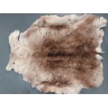 A wall hanging reindeer skin, tanned leather under, approx 120cm in length.