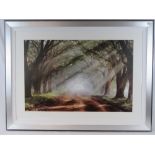 A large contemporary print, woodland track flanked by trees, steaming sunlight etc,