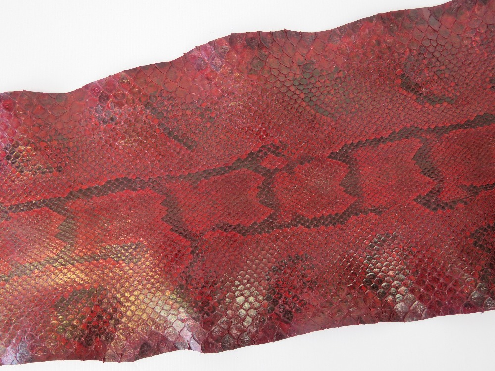 A tanned and red stained snakeskin measu