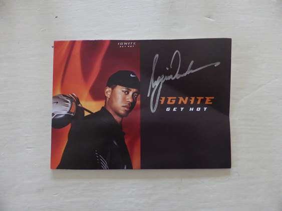 Tiger Woods Autograph 9" x 6.5" colour s