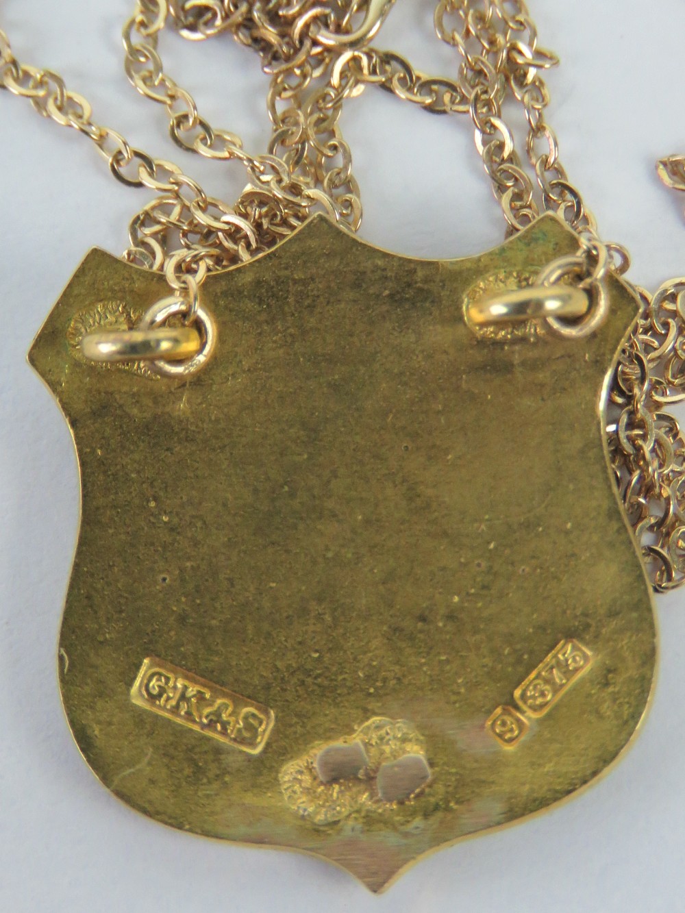 A 9ct gold enamelled pendant 'Buckinghamshire Swan' motif, fine link chain a/f, hallmarked 375, 3. - Image 2 of 2